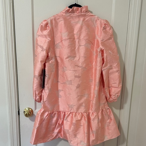 Pink Tuckernuck Dress - Picture 3 of 3